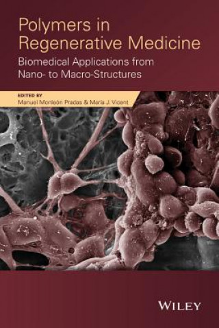 Kniha Polymers in Regenerative Medicine - Biomedical Applications from Nano- to Macro-Structures Manuel Monleon Pradas