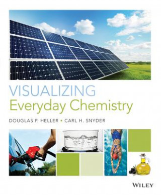 Knjiga Visualizing Everyday Chemistry Carl H. Snyder
