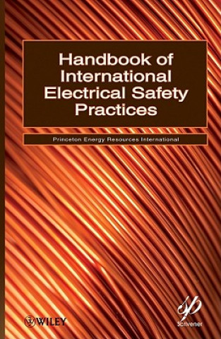 Könyv Handbook of International Electrical Safety Practices Princeton Energy Resources International