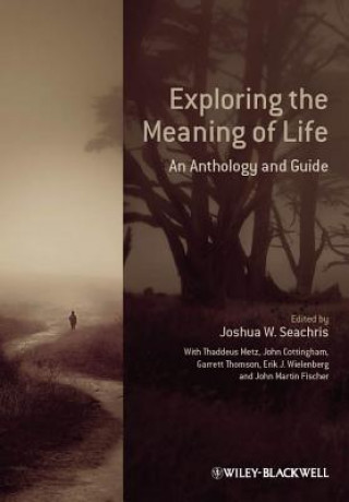 Kniha Exploring the Meaning of Life - An Anthology and Guide Seachris