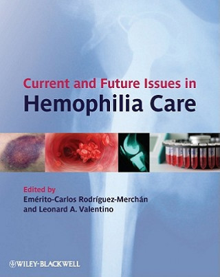 Kniha Current and Future Issues in Haemophilia Care Rodríguez-Merch&