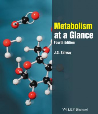 Kniha Metabolism at a Glance 4e J. G. Salway