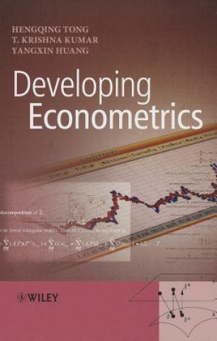 Knjiga Developing Econometrics Statistical Theories and Methods with Applications to Economics and Business Hengqing Tong