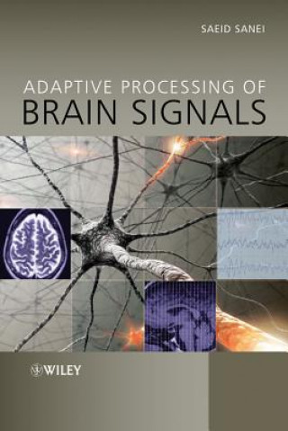 Książka Adaptive Processing of Brain Signals Saeid Sanei