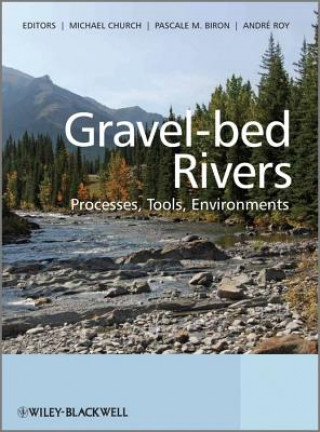 Carte Gravel-bed Rivers - Processes, Tools, Environments Michael Church