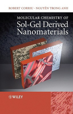 Kniha Molecular Chemistry of Sol-Gel Derived Nanomaterials Robert Corriu