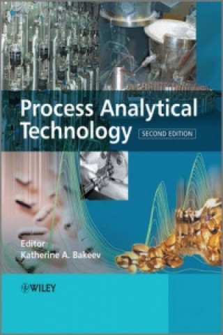 Könyv Process Analytical Technology 2e - Spectroscopic Tools and Implementation Strategies for the Chemical and Pharmaceutical Industries Katherine Bakeev