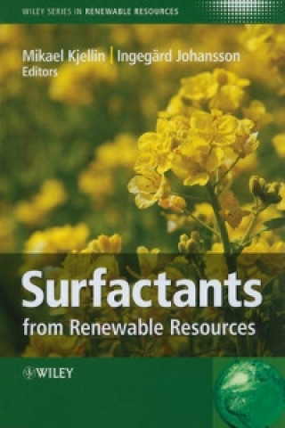 Kniha Surfactants from Renewable Resources Mikael Kjellin