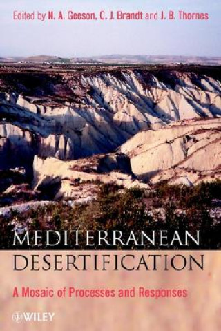 Kniha Mediterranean Desertification N. A. Geeson