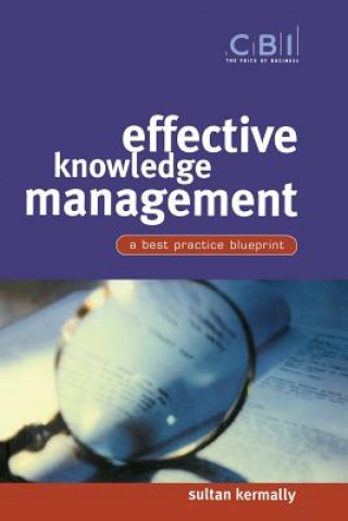 Kniha Effective Knowledge Management - A Best Practice Blueprint Sultan Kermally