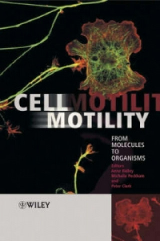 Knjiga Cell Motility - From Molecules to Organisms A Ridley