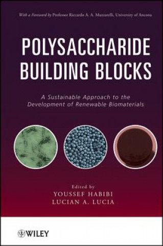 Kniha Polysaccharide Building Blocks - A Sustainable Approach to the Development of Renewable Biomaterials Youssef Habibi