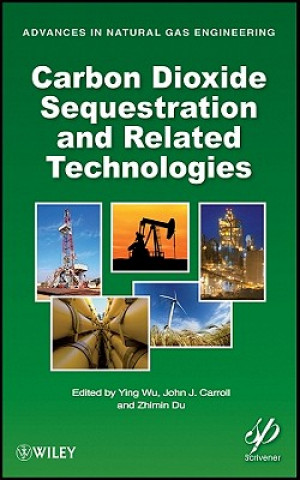 Kniha Carbon Dioxide Sequestration and Related Technologies Ying Wu