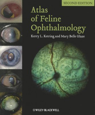 Kniha Atlas of Feline Ophthalmology Kerry L. Ketring