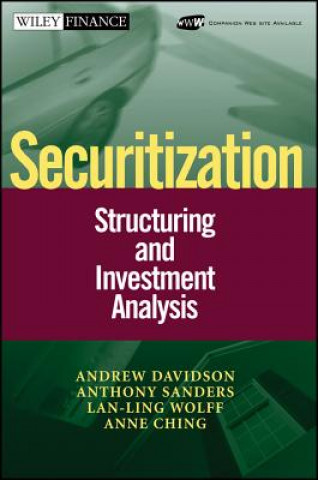 Kniha Securitization Andrew Davidson