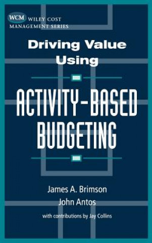 Kniha Driving Value Using Activity-Based Budgeting James A. Brimson