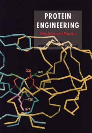 Knjiga Protein Engineering Jeffrey L. Cleland