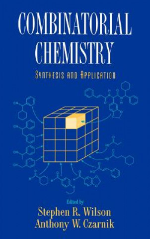 Könyv Combinatorial Chemistry - Synthesis and Application Wilson
