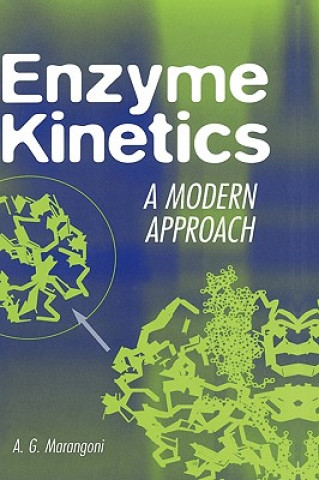 Könyv Enzyme Kinetics - A Modern Approach Alejandro G. Marangoni