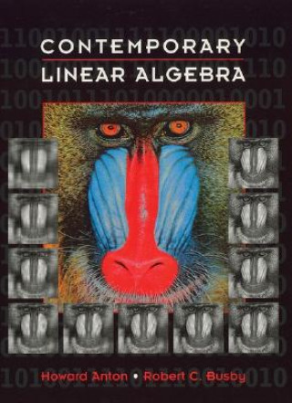 Kniha Contemporary Linear ALgebra (WSE) Howard Anton