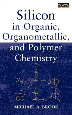 Kniha Silicon in Organic, Organometallic, and Polymer Chemistry Michael A. Brook