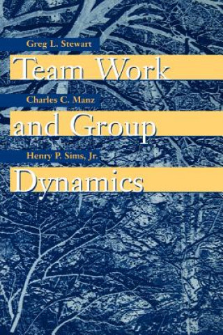 Kniha Team Work & Group Dynamics (WSE) G.L. Stewart