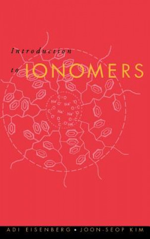 Kniha Introduction to Ionomers Adi Eisenberg