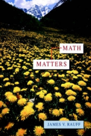 Knjiga Math Matters (WSE) James V. Rauff