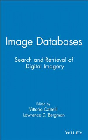 Kniha Image Databases - Search and Retrieval of Digital Imagery Castelli
