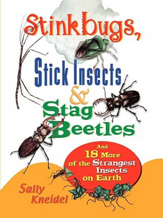 Kniha Stink Bugs, Stick Insects, and Stag Beetles Sally Kneidel