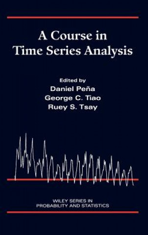 Kniha Course in Time Series Analysis Daniel S. Pena