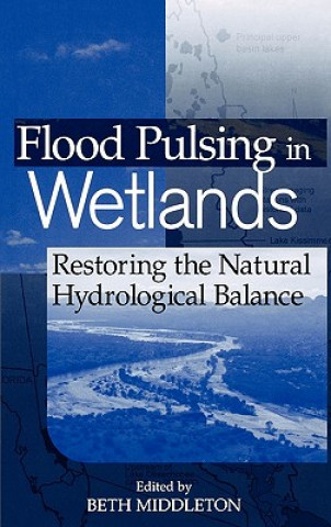 Knjiga Flood Pulsing in Wetlands - Restoring the Natural Hydrological Balance Beth Middleton