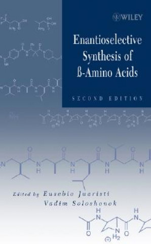 Βιβλίο Enantioselective Synthesis of Beta-Amino Acids 2e Eusebio Juaristi