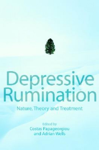 Buch Depressive Rumination - Nature, Theory and Treatment Costas Papageorgiou