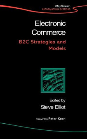 Kniha Electronic Commerce - B2C Strategies and Models Steve Elliott