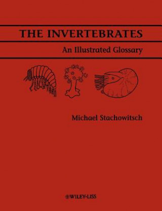 Książka Invertebrates - An Illustrated Glossary Michael Stachowitsch