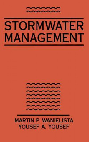 Kniha Stormwater Management Martin P. Wanielista