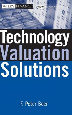 Książka Technology Valuation Solutions F. Peter Boer