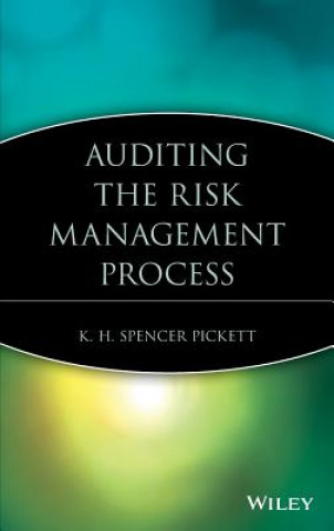 Kniha Auditing the Risk Management Process K. H. Spencer Pickett