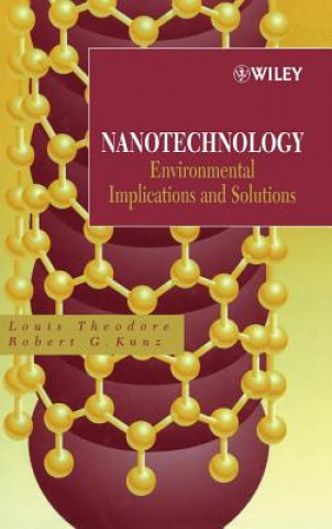 Kniha Nanotechnology - Environmental Implications and Solutions Louis Theodore