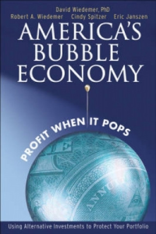 Knjiga America's Bubble Economy David Wiedemer