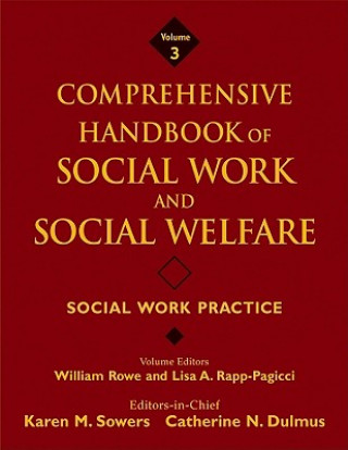 Kniha Comprehensive Handbook of Social Work and Social Welfare - Social Work Practice V3 