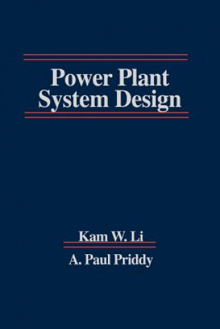 Kniha Power Plant System Design Kam W. Li