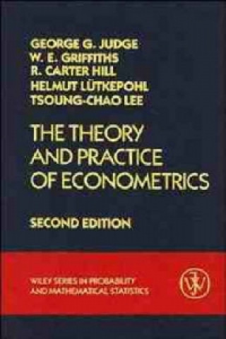 Kniha Theory & Practice of Econometrics 2e (WSE) George G. Judge