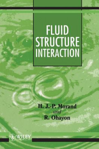 Kniha Fluid Structure Interaction - Applied Numerical Methods Henri J.-P. Morand