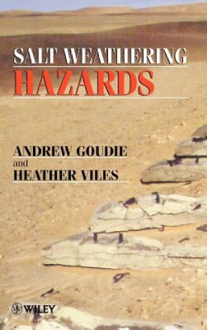 Kniha Salt Weathering Hazards Andrew S. Goudie
