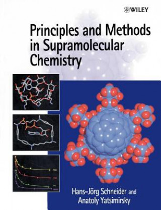 Libro Principles & Methods in Supramolecular Chemistry Hans-Jorg Schneider