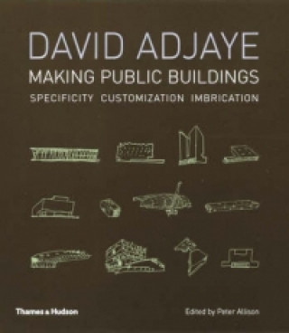 Knjiga David Adjaye ALLISON