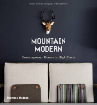 Kniha Mountain Modern Dominic Bradbury