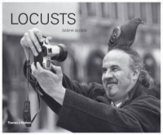 Book Locusts Sasha Gusov